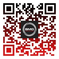 Bearing Man Group (Pty) Ltd t/a BMG