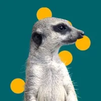 Telemática Sistemas Inteligentes