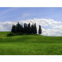 Italiaeksperten AS (Allora.no, Studia.dk, Pomodoro.no)