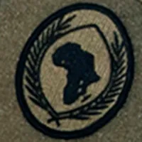 US AFRICOM