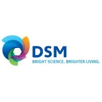DSM Shared Services India Private Limited