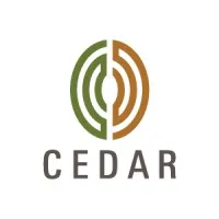 Cedar Management Consulting International LLC
