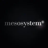 Mesosystem S.A.