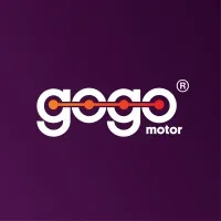 GoGo Motor