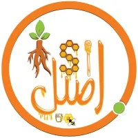 اصیل آنلاین