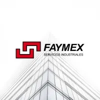 FAYMEX SpA