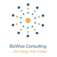 BizWize Solutions