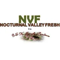 Nocturnal Valley Fresh