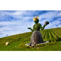 Weingut Burg Taggenbrunn