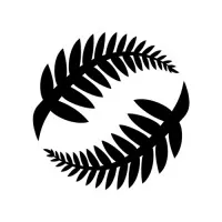 New Zealand Football