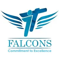 IT Falcons