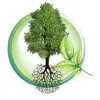 Consulting & Environmental Services