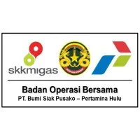 BOB PT. Bumi Siak Pusako - Pertamina Hulu