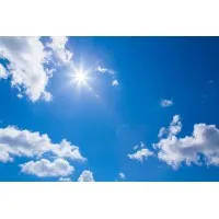 Higgs Pharma Private Limited