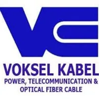 PT. VOKSEL ELECTRIC Tbk