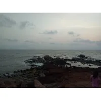 BIRLA SUNLIFE INSURANCE CO LTD