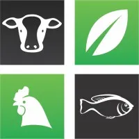 Maxim International (pvt) Ltd.