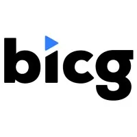 The Business Innovation Consulting Group