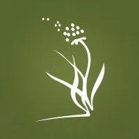 Grupo Jardim da Saudade