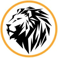 LYONIC - Agentur für digitales Marketing