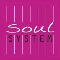 Soul System