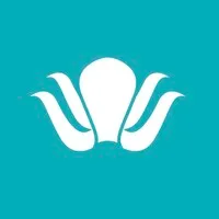 Ahtapot Sosyal Medya