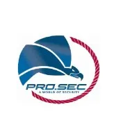Prosec (Professional Security)