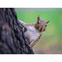 TAIT Stage Technologies