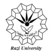 Razi University