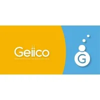 Geiico