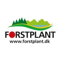 Forstplant