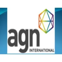 Mohamed Adel Nassef & Co. Certified Accountants &Consultants (Member firm of AGN International)