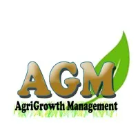 AGM Consulting