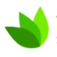 Wiztelsys Server Technologies