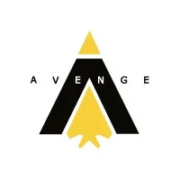 Avenge Inc.