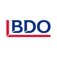 BDO Debt Solutions