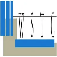 WSTC Financial Services Limited