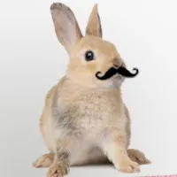 oblaum digital/social