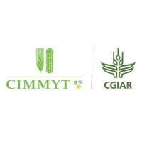 International Maize and Wheat Improvement Center (CIMMYT)
