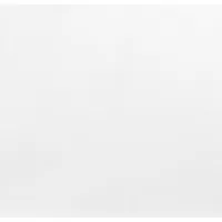 Primacy Industries Ltd.