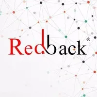 Redback IT Solutions Private Limited