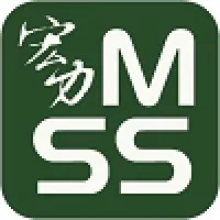 Megastrength Security Services Co Ltd