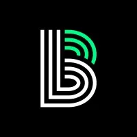 Big Brothers Big Sisters of The Bridge