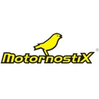 Motornostix