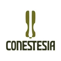 Conestesia