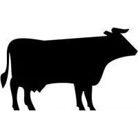 Black Jersey Consulting