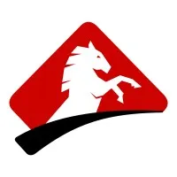 Stallion Security (Pty) Ltd