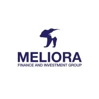 Meliora Finance and Investment Group