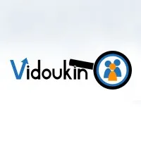 Vidoukin Group