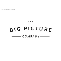 The Big Picture Company